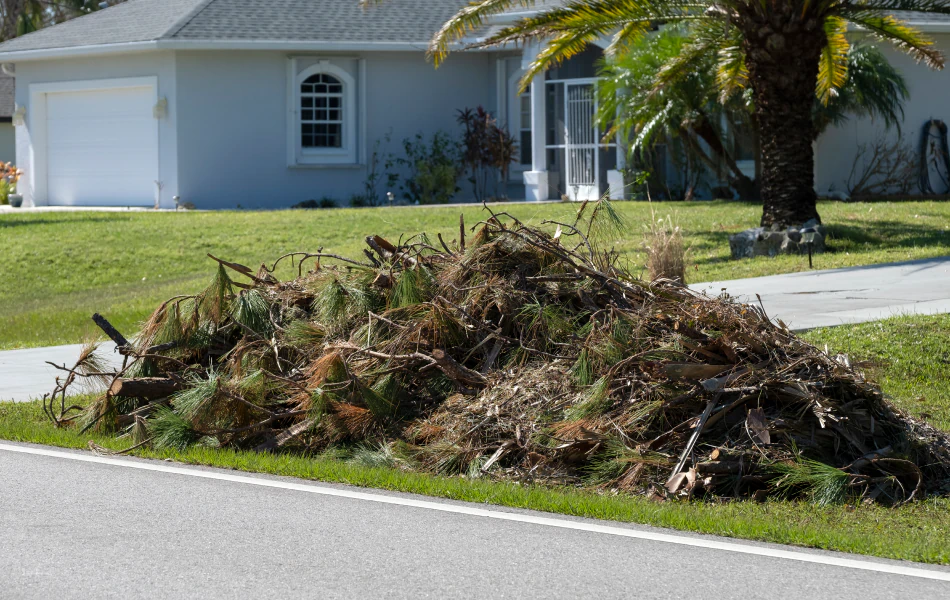 Debris & Trash Removal (1)