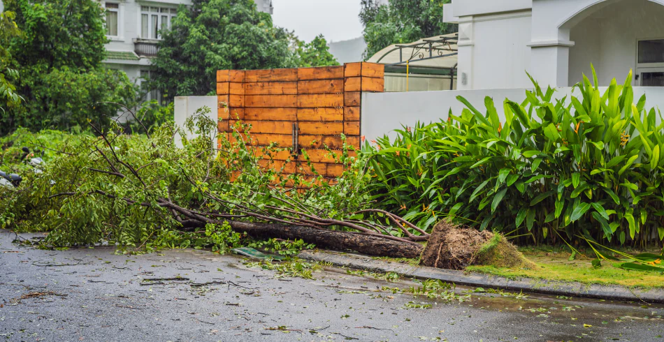 Debris & Trash Removal