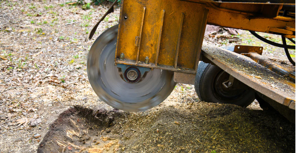 Stump Grinding